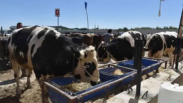 Selçuklu'da kurban satışı başladı