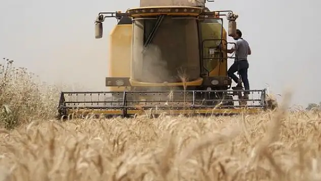 TMO hububat alım fiyatlarını artırdı