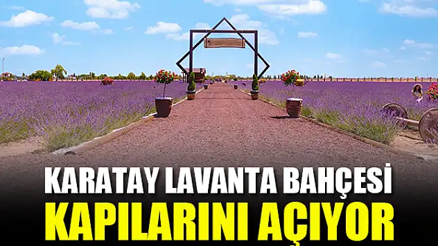 Karatay Lavanta Bahçesi, kapılarını açıyor