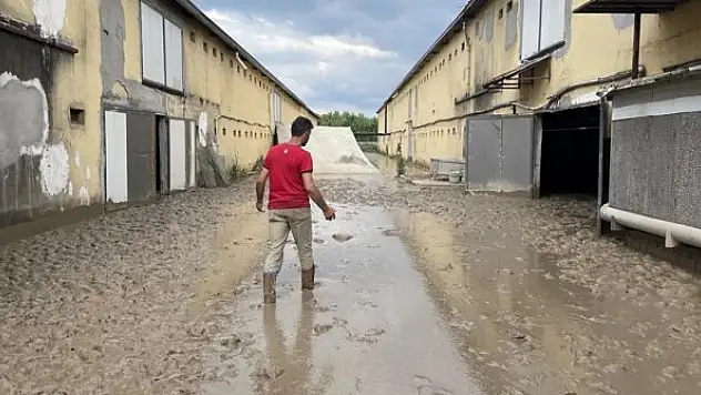 Tavuk çiftliği işletmesi 195 bin hayvanı selde kaybetti