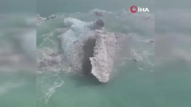 Cruise gemisi buzdağına çarptı