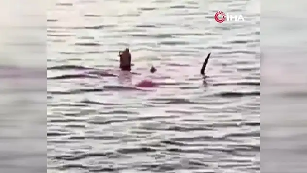 Köpek balığının saldırısına uğrayan kadın hayatını kaybetti