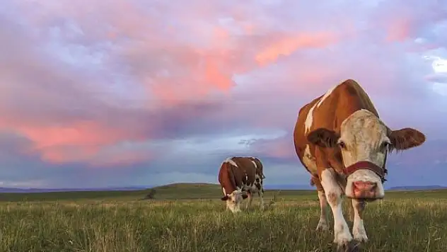 Kars'ta yağmur bulutları kızıla büründü