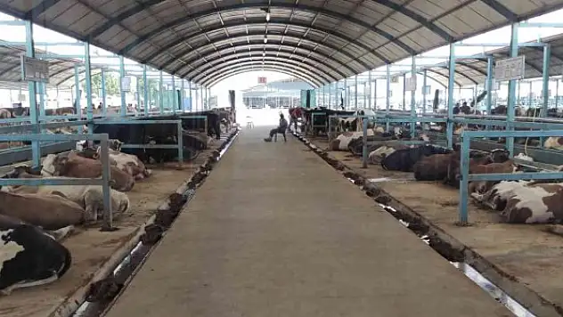 Pazarda kurbanlık var alıcı yok