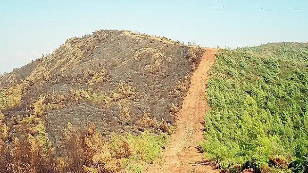 Alevlerin önü 25 yıl sonra yine aynı sırtta kesildi