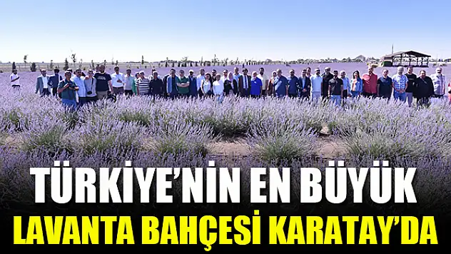 Türkiye'nin en büyük Lavanta Bahçesi Karatay'da