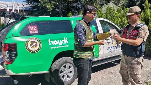 Yaralı halde bulunan gece balıkçılı DKMP'ye teslim edildi