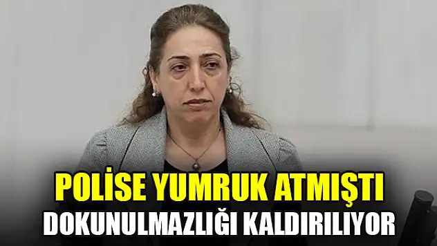 Polise yumruk atan DBP'li Aydeniz'in dokunulmazlığı kaldırılıyor