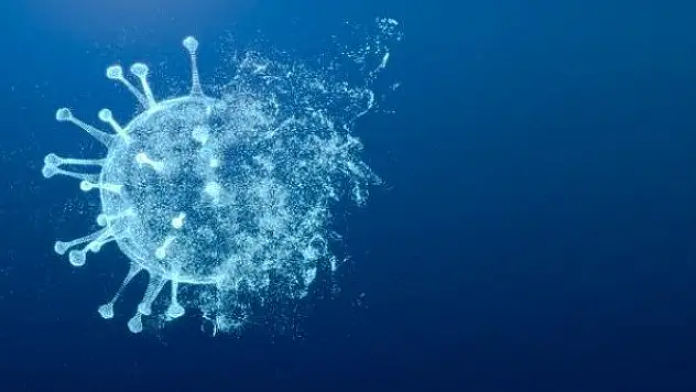 DSÖ: Son 2 haftada COVID-19 vaka artış oranı yüzde 30