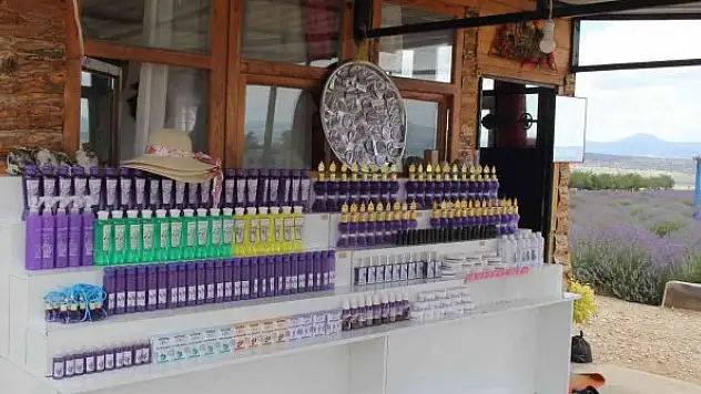 Lavanta Kokulu Köy'de sezon devam ediyor