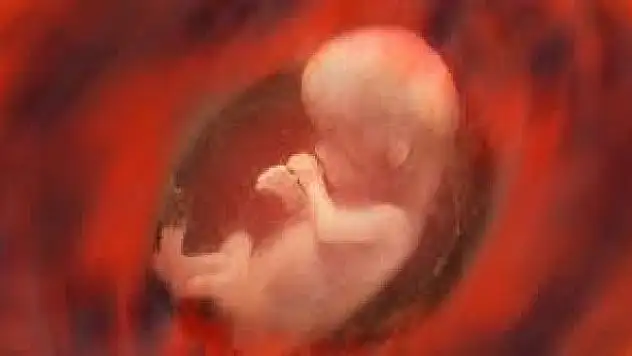 'Maymun çiçeği virüsü, anne karnındaki bebeğe ulaşabilir'