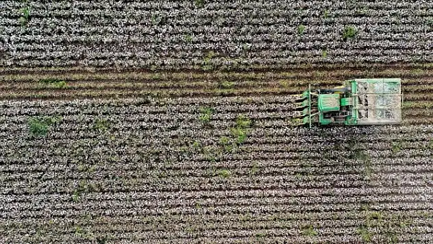 Tarım grubundan ihracatta ilk yarı rekoru kırıldı