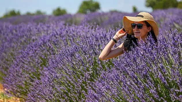 'Ota kim bakar' denilen mor bahçeler, 47 yıldır geçim kaynağı