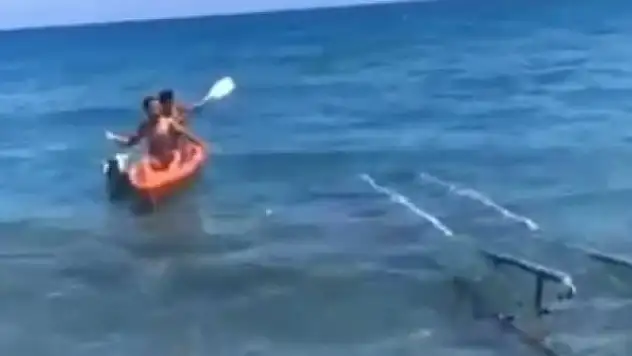 Denizlerin çöpçüsü kıyıya vurdu