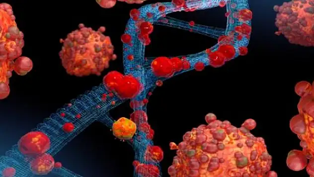 DSÖ: Maymun çiçeği vaka sayısı 10 bine yaklaştı