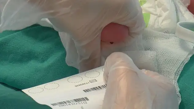 Aileler topuk kanı taramasını reddediyor, nedeni ise...