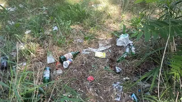 Piknikçiler çöplerini bırakıp gitti