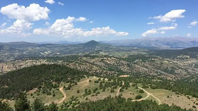 14 kişi yedikleri mantardan zehirlendi, valilik uyardı