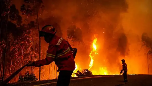 Portekiz'de 14 noktada orman yangını