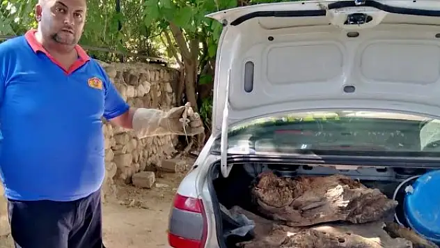 Otomobile sıkışan kertenkeleyi itfaiye kurtardı