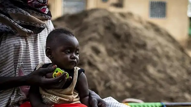 Afrika'da hayvanlardan insanlara bulaşan hastalıklarda büyük artış