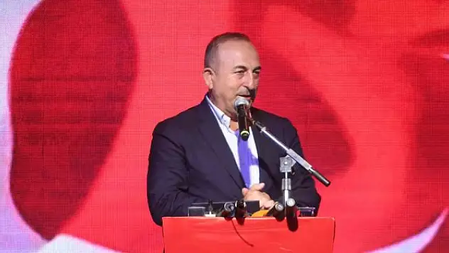 Çavuşoğlu:  'FETÖ'cülerin kamudan çıkarılmasıyla gücümüz arttı'