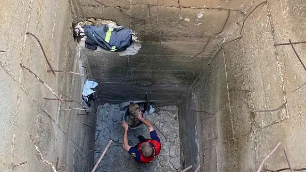 40 derece sıcaklıkta yavru köpeği kurtarmak için seferber oldular