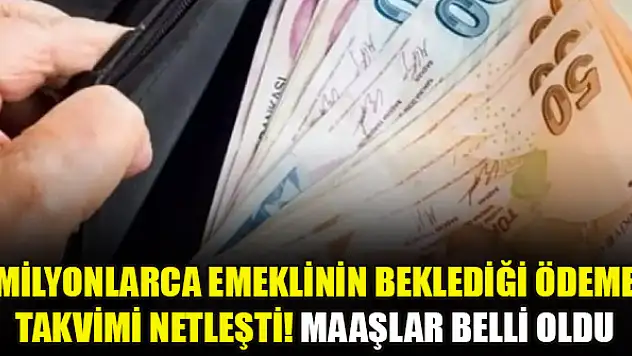 Milyonlarca emeklinin beklediği ödeme takvimi netleşti! Maaşlar belli oldu