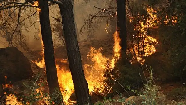 Meteorolojiden o il için kritik sıcaklık ve yangın uyarısı