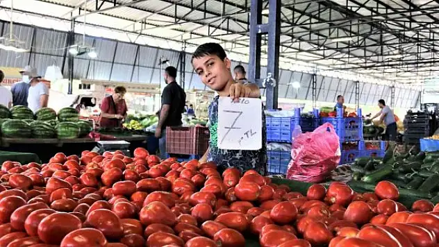 Dört gözle beklenen yayla domatesi pazarla buluştu