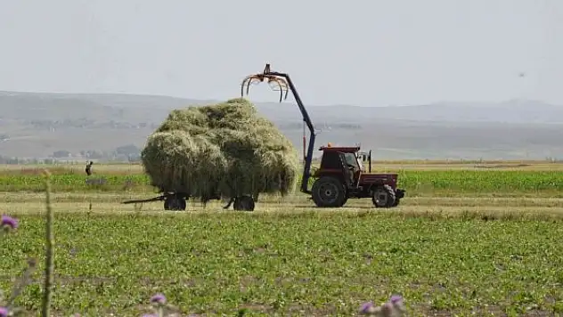 Çiftçilerin ot biçme mesaisi başladı