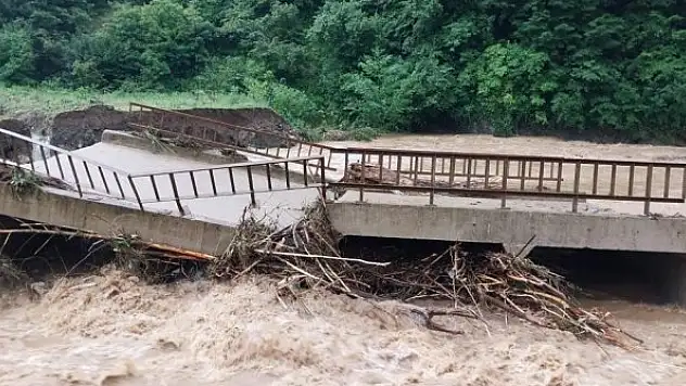 Ordu'da 5 ilçede 242 noktada heyelan meydana geldi