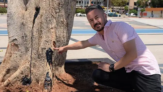 Özgecan Aslan meydanındaki kauçuk ağacın içine asit enjekte edildi
