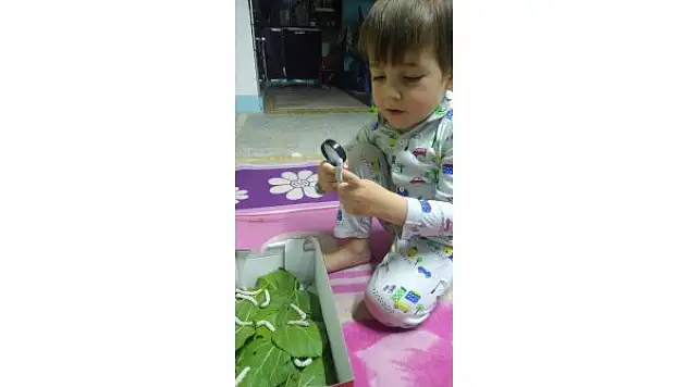 4 yaşındaki Deniz'in ipek böcekleri ile dostluğu görenleri gülümsetiyor