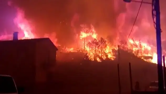  İspanya ve Fransa'daki orman yangınları