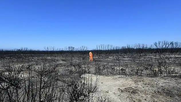 Avustralya'da iklim değişikliği nedeniyle biyoçeşitlilik azalıyor