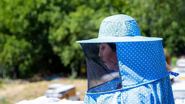 Şifa deposu kekik hem üreticisini hem de arıcıları sevindirdi