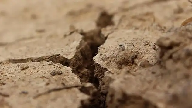 Avrupa topraklarının yarısı kuraklık riski altında