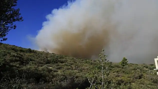 Atina'da orman yangını: Bölge sakinleri tahliye edildi