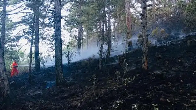 Kütahya'daki orman yangını kontrol altına alındı
