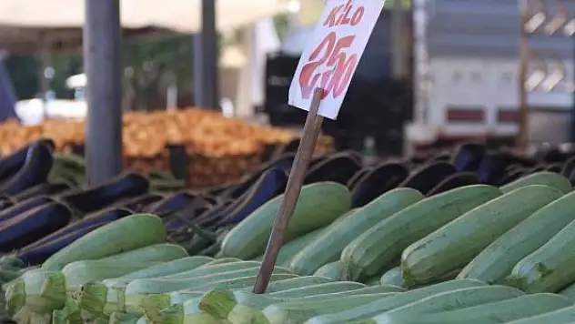 Pazardan, 3,1 milyon TL tohum yatırım aldı