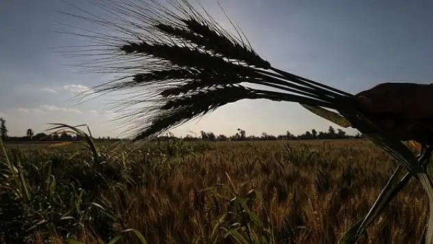 Tarımsal destek ödemeleri bugün yapılacak