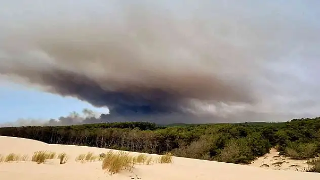 Fransa'da orman yangınları: 20 bin 800 hektar alan küle döndü
