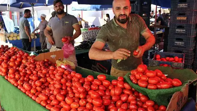 Salçalık domatesler tezgahlara indi