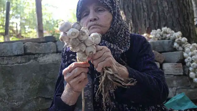 Yaş 83, bir an olsun çalışmaktan vazgeçmiyor