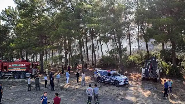 Orman yangınlarına karşı dört koldan seferberlik