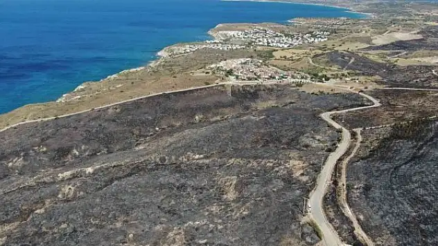 Yanan alan havadan görüntülendi