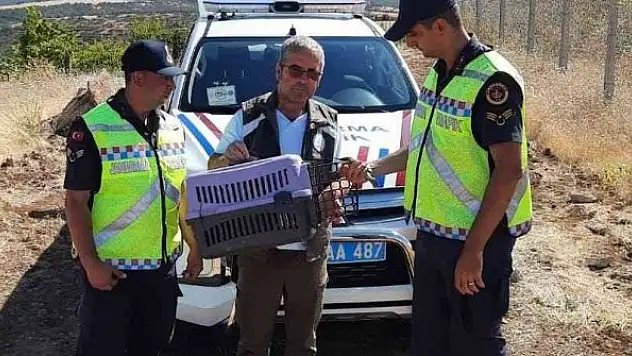 Kanadı kırık arı kuşuna jandarma sahip çıktı