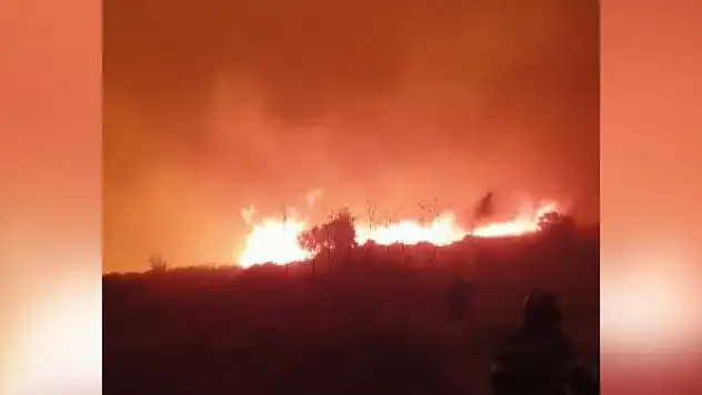 Yunanistan'da 24 saatte 53 noktada orman yangını çıktı