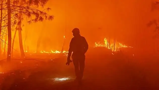 İspanya ve İtalya'da on binlerce hektar yeşil alan zarar gördü